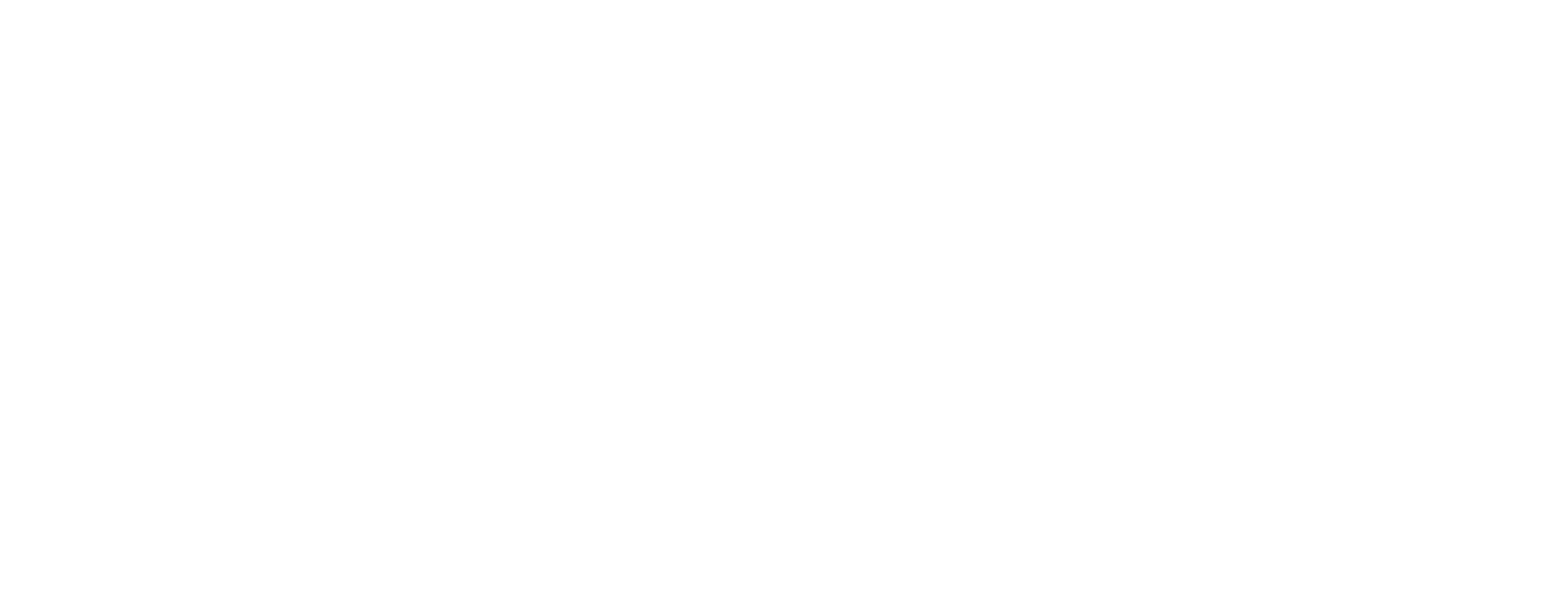 DRPM Primakara University